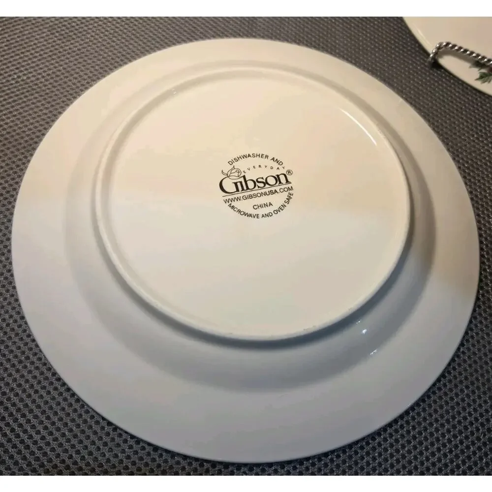 Set Of 2 10-inch dinner plate 
